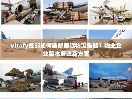 Vitafy直邮如何破解国际物流难题?物业企业降本增效新方案 Vitafy直邮如何破解国际物流难题?物业企业降本增效新方案