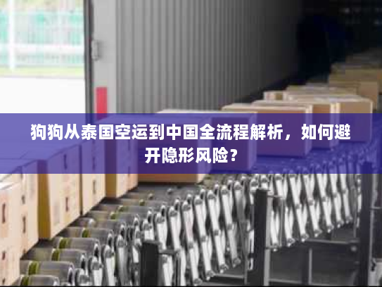 狗狗从泰国空运到中国全流程解析，如何避开隐形风险？