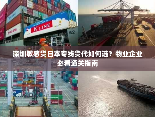 深圳敏感货日本专线货代如何选?物业企业必看通关指南 深圳敏感货日本专线货代如何选?物业企业必看通关指南