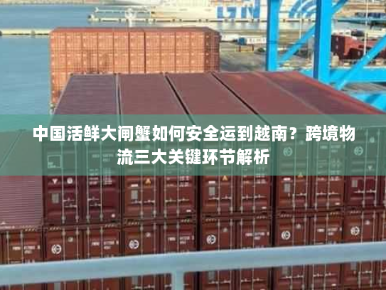 中国活鲜大闸蟹如何安全运到越南?跨境物流三大关键环节解析 中国活鲜大闸蟹如何安全运到越南?跨境物流三大关键环节解析