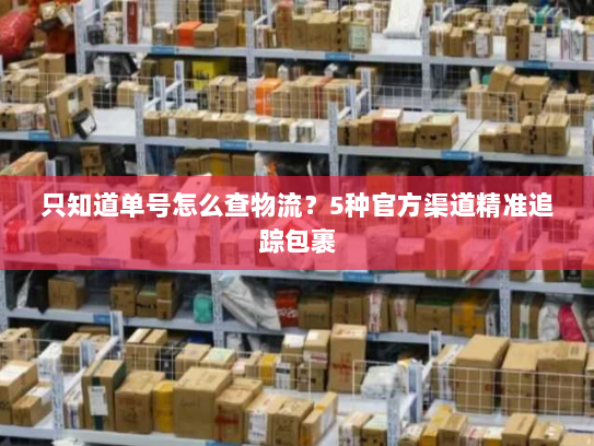 只知道单号怎么查物流?5种官方渠道精准追踪包裹 只知道单号怎么查物流?5种官方渠道精准追踪包裹