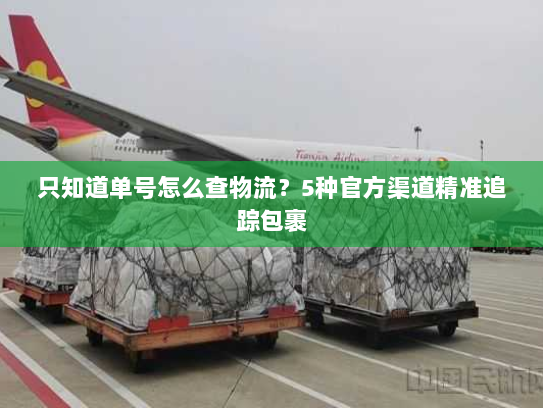 只知道单号怎么查物流?5种官方渠道精准追踪包裹 只知道单号怎么查物流?5种官方渠道精准追踪包裹