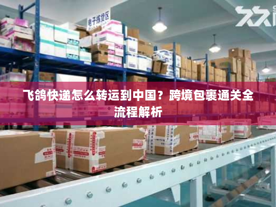 飞鸽快递怎么转运到中国？跨境包裹通关全流程解析