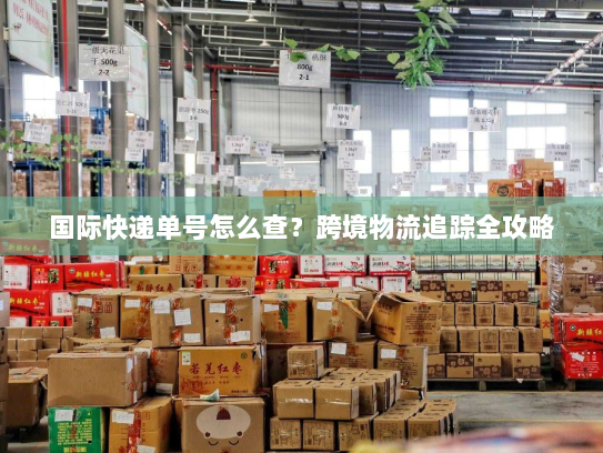 国际快递单号怎么查?跨境物流追踪全攻略 国际快递单号怎么查?跨境物流追踪全攻略