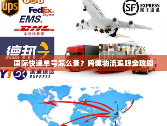 国际快递单号怎么查?跨境物流追踪全攻略 国际快递单号怎么查?跨境物流追踪全攻略