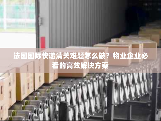 法国国际快递清关难题怎么破?物业企业必看的高效解决方案 法国国际快递清关难题怎么破?物业企业必看的高效解决方案