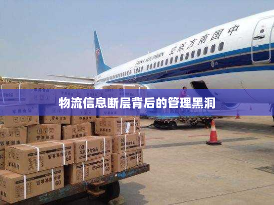 物流信息断层背后的管理黑洞 物流信息断层背后的管理黑洞