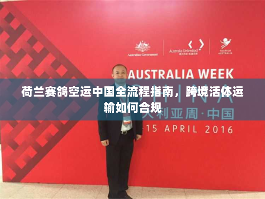 荷兰赛鸽空运中国全流程指南，跨境活体运输如何合规