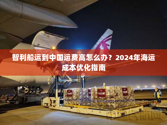 智利船运到中国运费高怎么办?2024年海运成本优化指南 智利船运到中国运费高怎么办?2024年海运成本优化指南