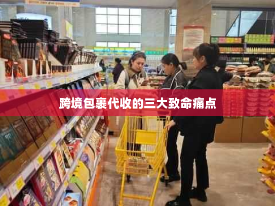 跨境包裹代收的三大致命痛点 跨境包裹代收的三大致命痛点
