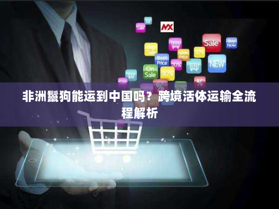 非洲鬣狗能运到中国吗?跨境活体运输全流程解析 非洲鬣狗能运到中国吗?跨境活体运输全流程解析