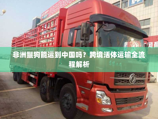 非洲鬣狗能运到中国吗?跨境活体运输全流程解析 非洲鬣狗能运到中国吗?跨境活体运输全流程解析
