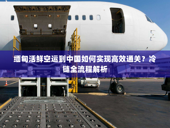 缅甸活鲜空运到中国如何实现高效通关？冷链全流程解析