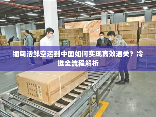 缅甸活鲜空运到中国如何实现高效通关?冷链全流程解析 缅甸活鲜空运到中国如何实现高效通关?冷链全流程解析