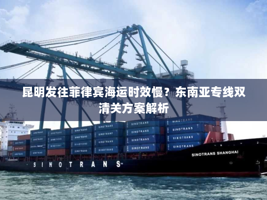 昆明发往菲律宾海运时效慢？东南亚专线双清关方案解析