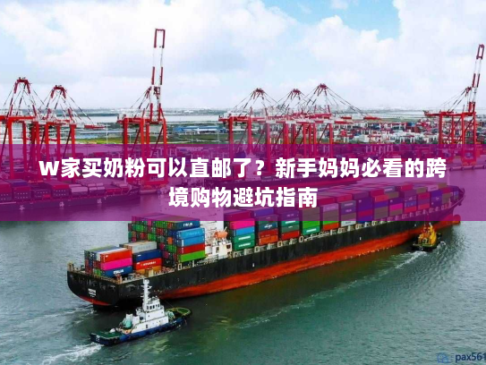 W家买奶粉可以直邮了?新手妈妈必看的跨境购物避坑指南 W家买奶粉可以直邮了?新手妈妈必看的跨境购物避坑指南