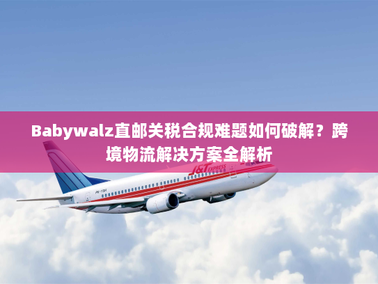 Babywalz直邮关税合规难题如何破解?跨境物流解决方案全解析 Babywalz直邮关税合规难题如何破解?跨境物流解决方案全解析