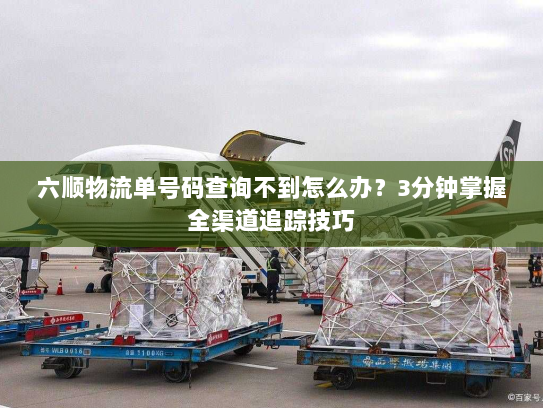 六顺物流单号码查询不到怎么办?3分钟掌握全渠道追踪技巧 六顺物流单号码查询不到怎么办?3分钟掌握全渠道追踪技巧