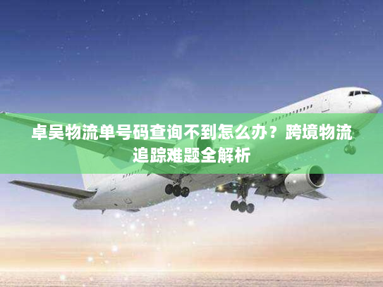 卓吴物流单号码查询不到怎么办？跨境物流追踪难题全解析