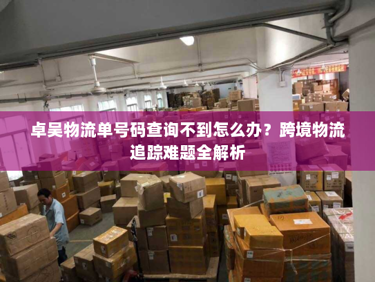 卓吴物流单号码查询不到怎么办？跨境物流追踪难题全解析