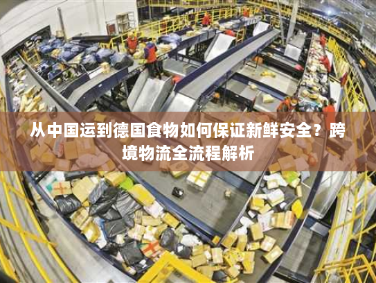 从中国运到德国食物如何保证新鲜安全?跨境物流全流程解析 从中国运到德国食物如何保证新鲜安全?跨境物流全流程解析