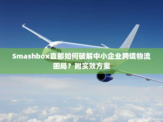 Smashbox直邮如何破解中小企业跨境物流困局?附实效方案 Smashbox直邮如何破解中小企业跨境物流困局?附实效方案