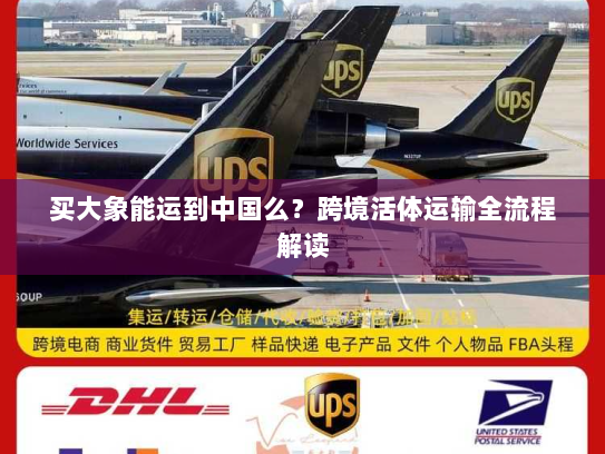 买大象能运到中国么?跨境活体运输全流程解读 买大象能运到中国么?跨境活体运输全流程解读