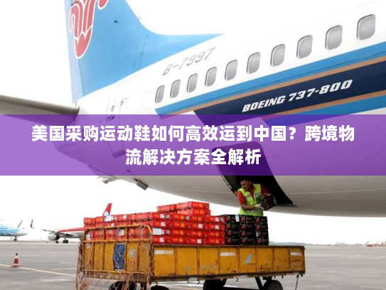 美国采购运动鞋如何高效运到中国？跨境物流解决方案全解析