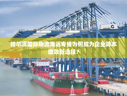 哈尔滨国际物流海运专线为何成为企业降本增效新选择? 哈尔滨国际物流海运专线为何成为企业降本增效新选择?