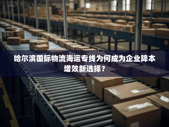 哈尔滨国际物流海运专线为何成为企业降本增效新选择? 哈尔滨国际物流海运专线为何成为企业降本增效新选择?
