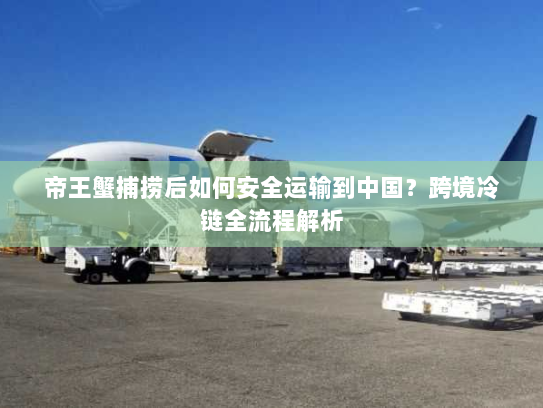 帝王蟹捕捞后如何安全运输到中国?跨境冷链全流程解析 帝王蟹捕捞后如何安全运输到中国?跨境冷链全流程解析