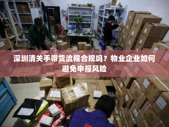 深圳清关手带货流程合规吗?物业企业如何避免申报风险 深圳清关手带货流程合规吗?物业企业如何避免申报风险