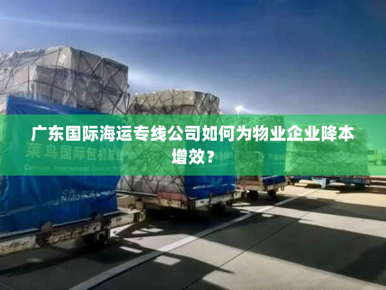 广东国际海运专线公司如何为物业企业降本增效? 广东国际海运专线公司如何为物业企业降本增效?