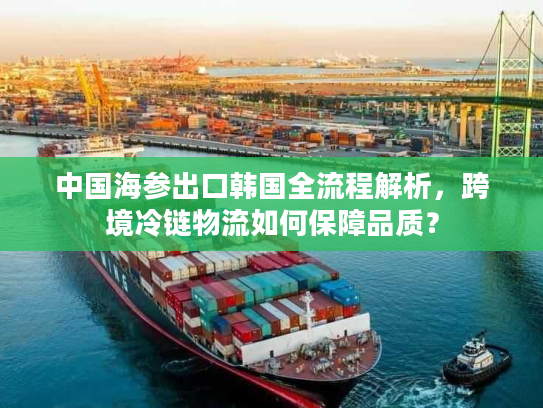 中国海参出口韩国全流程解析，跨境冷链物流如何保障品质？