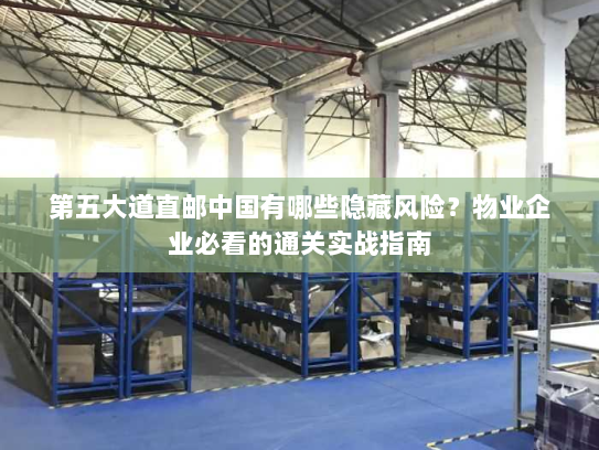 第五大道直邮中国有哪些隐藏风险?物业企业必看的通关实战指南 第五大道直邮中国有哪些隐藏风险?物业企业必看的通关实战指南