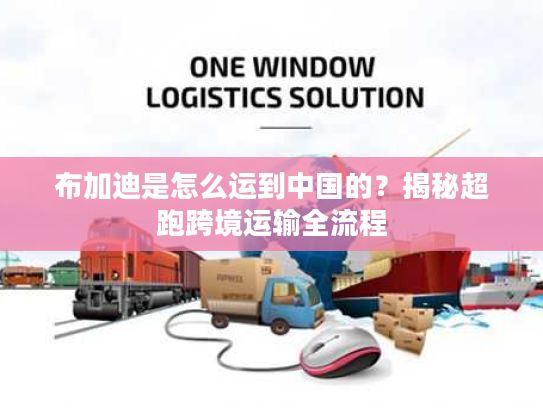 布加迪是怎么运到中国的？揭秘超跑跨境运输全流程