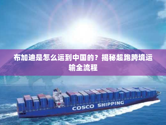 布加迪是怎么运到中国的?揭秘超跑跨境运输全流程 布加迪是怎么运到中国的?揭秘超跑跨境运输全流程