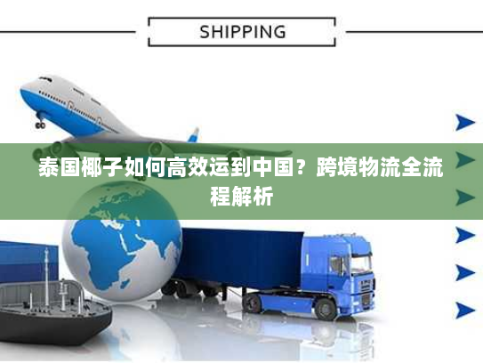 泰国椰子如何高效运到中国?跨境物流全流程解析 泰国椰子如何高效运到中国?跨境物流全流程解析