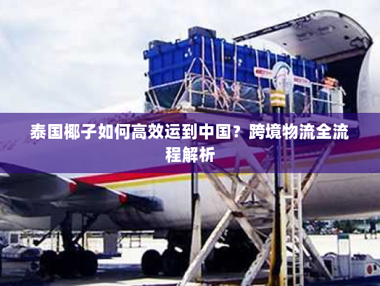 泰国椰子如何高效运到中国?跨境物流全流程解析 泰国椰子如何高效运到中国?跨境物流全流程解析