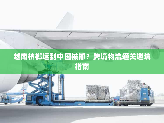 越南槟榔运到中国被抓?跨境物流通关避坑指南 越南槟榔运到中国被抓?跨境物流通关避坑指南