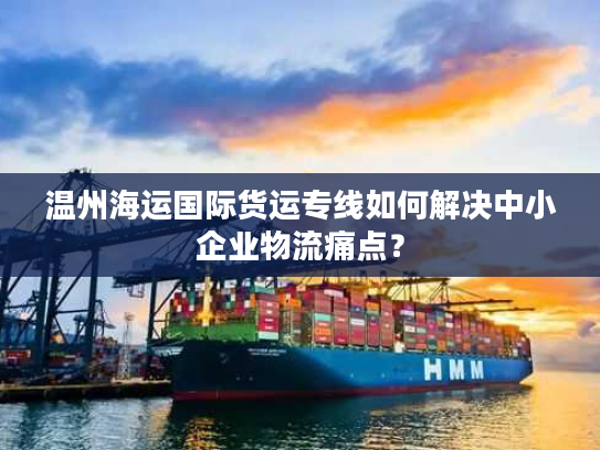 温州海运国际货运专线如何解决中小企业物流痛点？