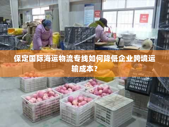 保定国际海运物流专线如何降低企业跨境运输成本？
