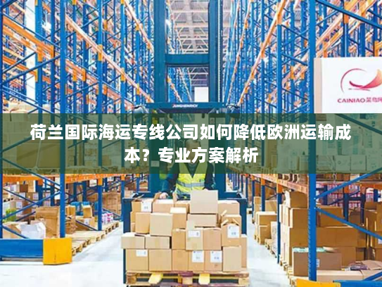 荷兰国际海运专线公司如何降低欧洲运输成本?专业方案解析 荷兰国际海运专线公司如何降低欧洲运输成本?专业方案解析