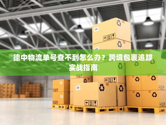 德中物流单号查不到怎么办？跨境包裹追踪实战指南