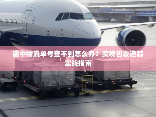 德中物流单号查不到怎么办？跨境包裹追踪实战指南