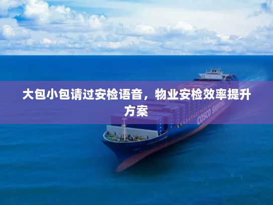 大包小包请过安检语音，物业安检效率提升方案