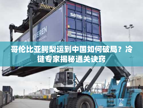 哥伦比亚鳄梨运到中国如何破局？冷链专家揭秘通关诀窍