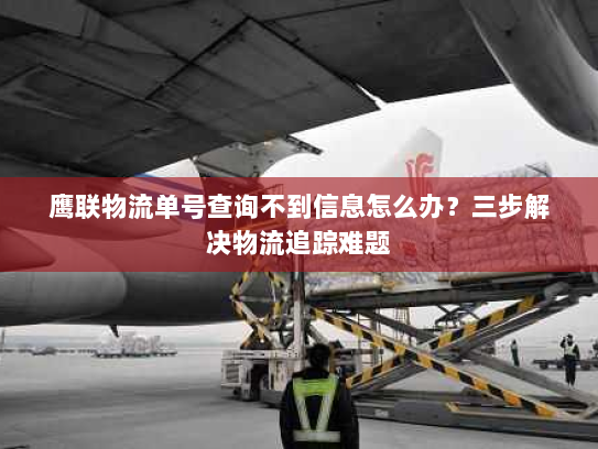 鹰联物流单号查询不到信息怎么办？三步解决物流追踪难题
