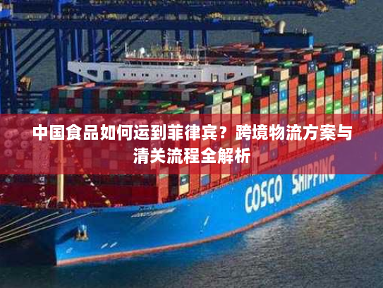 中国食品如何运到菲律宾?跨境物流方案与清关流程全解析 中国食品如何运到菲律宾?跨境物流方案与清关流程全解析