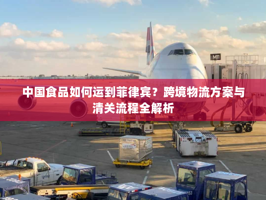 中国食品如何运到菲律宾?跨境物流方案与清关流程全解析 中国食品如何运到菲律宾?跨境物流方案与清关流程全解析